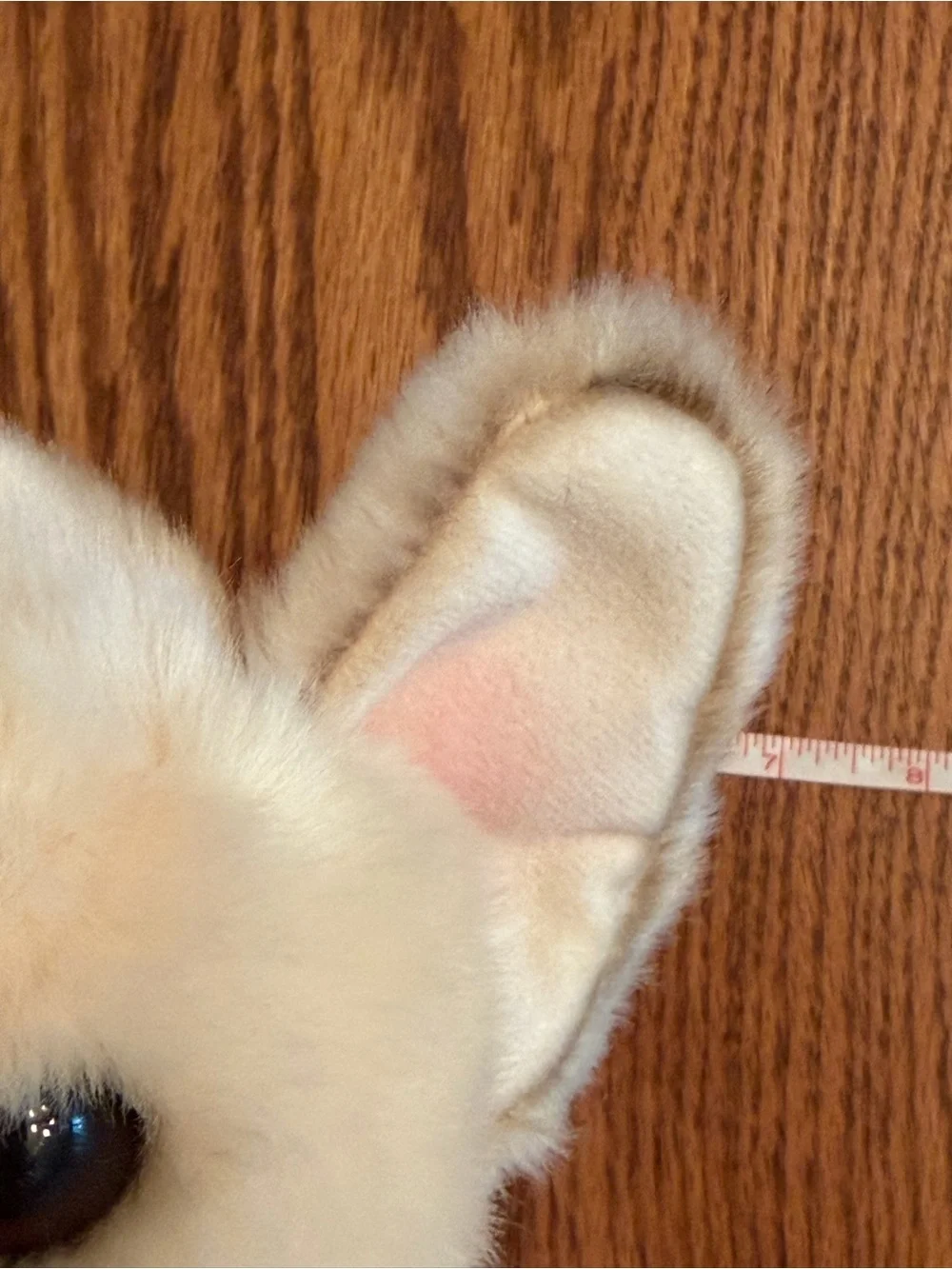Douglas Napoleon French bulldog NWT